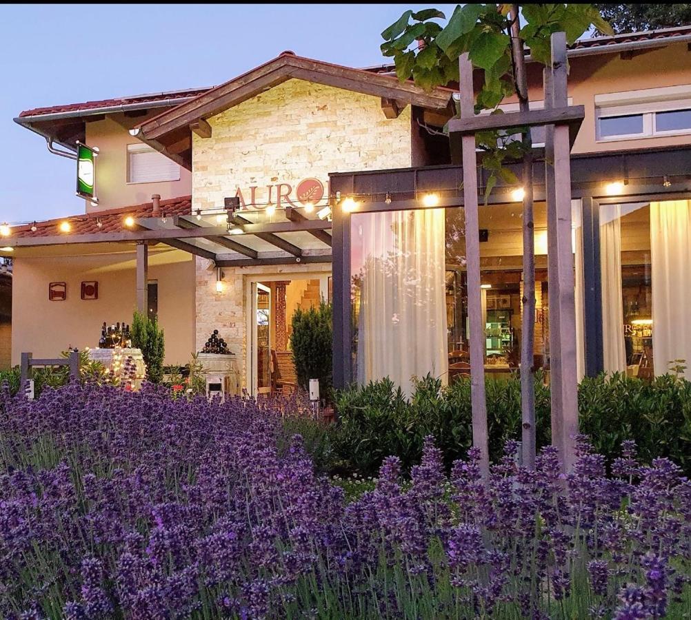 Aurora Panzio Bed & Breakfast Buk Exterior photo